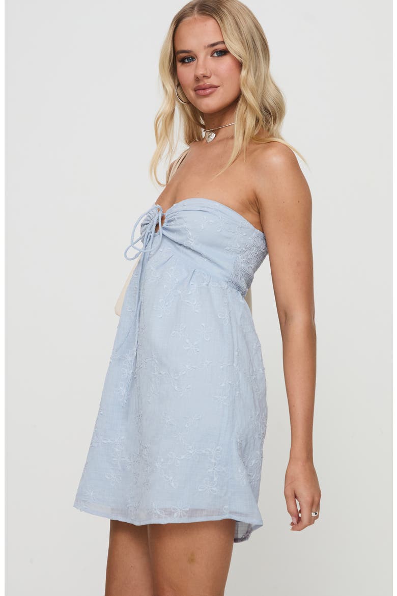 Rosenberg Embroidered Strapless Minidress, Alternate, color, BLUE