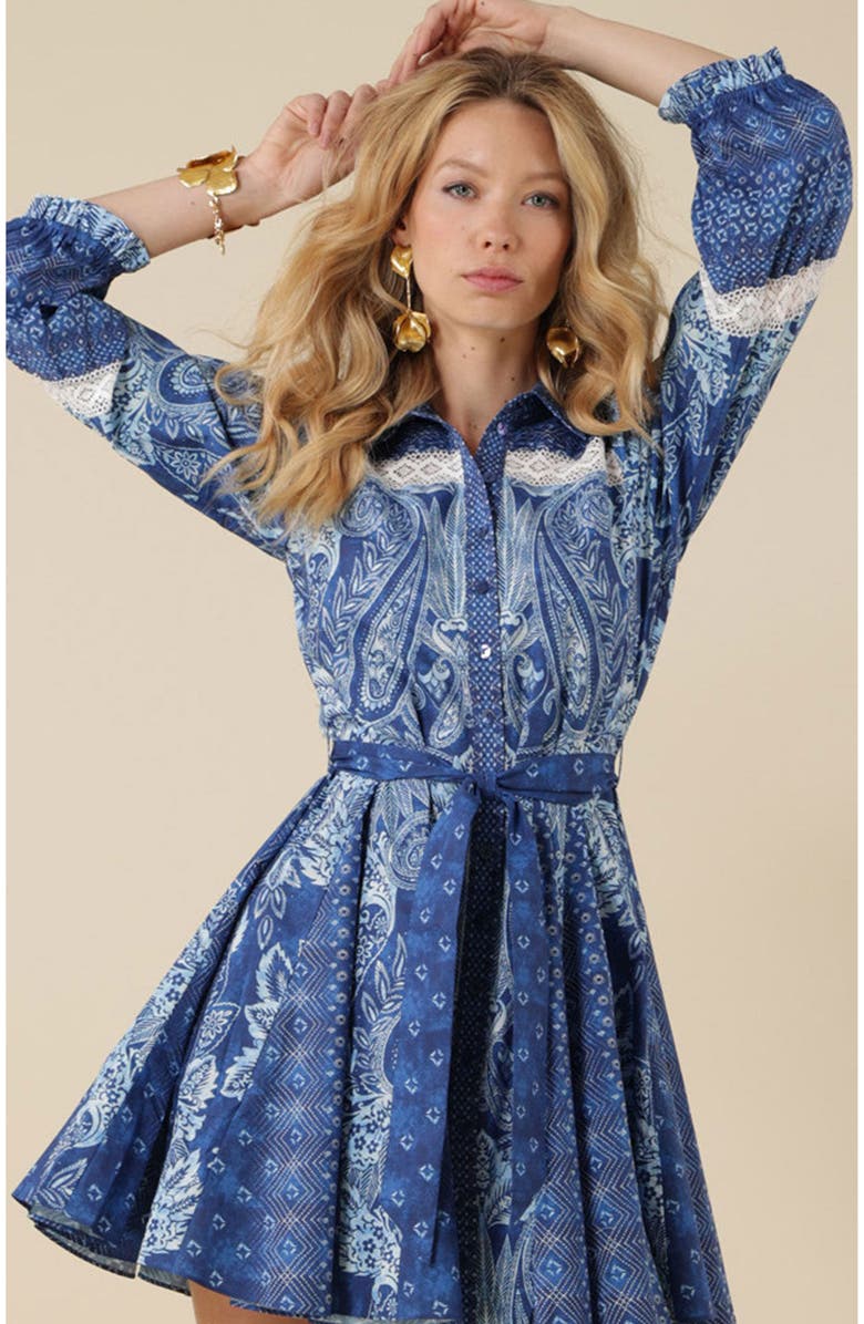 Hale Bob Collins Poplin Shirtdress, Alternate, color,
