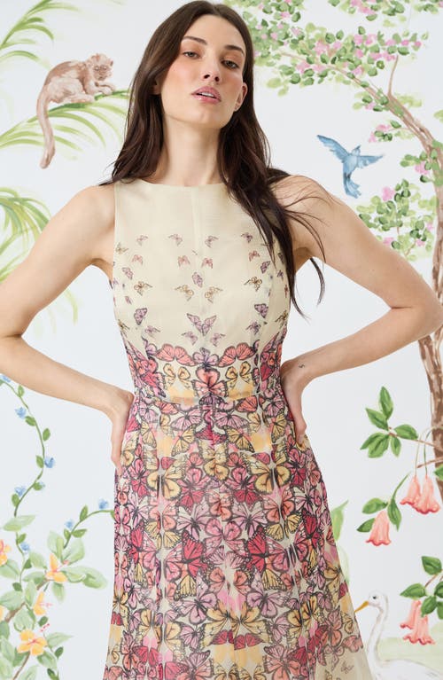 Maggy London Butterfly Print Sleeveless Midi Dress In Multi