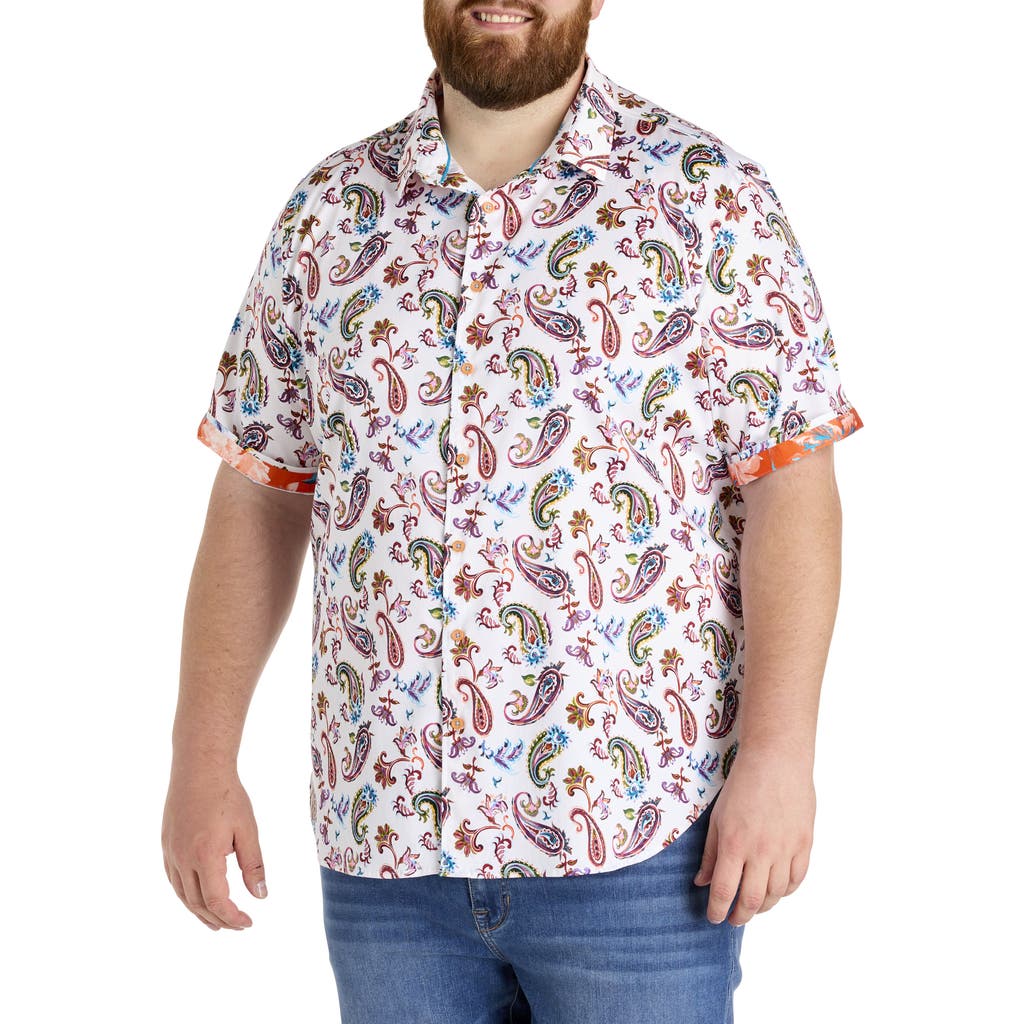 Robert Graham Dxl Big & Tall Tangier Paisley Print Sport Shirt In Red