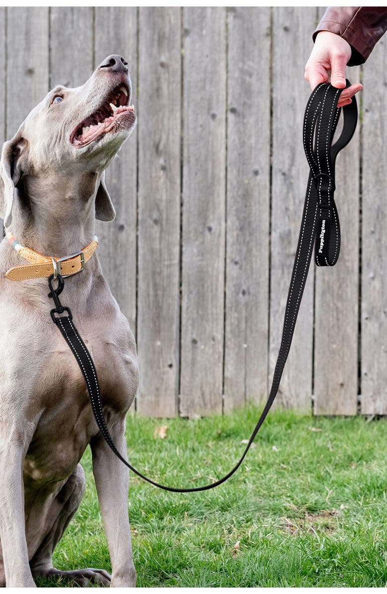 Puppington Reflective Leash, Alternate, color, 