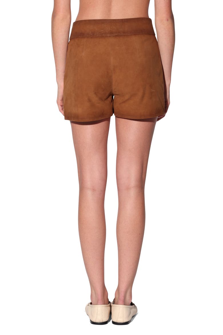 Kendra High Waist Shorts, Alternate, color, OAK SUEDE