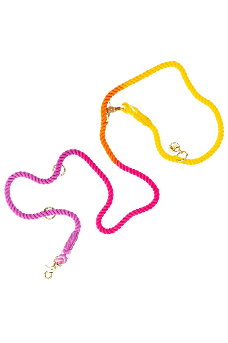 Roxy Hands-Free Rope Dog Leash, Main, color, Roxy 7ft