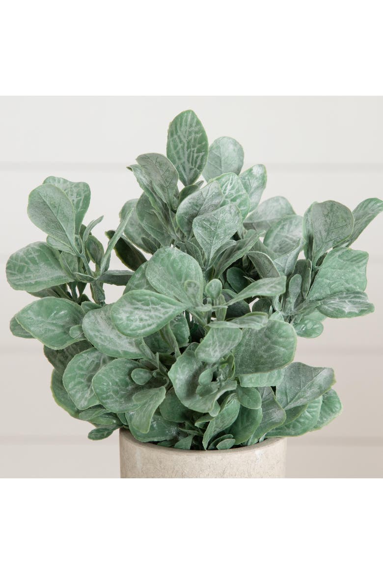 8-in Artificial Lambs Ear in Decorative Planter - Set of 3, Alternate, color, Green