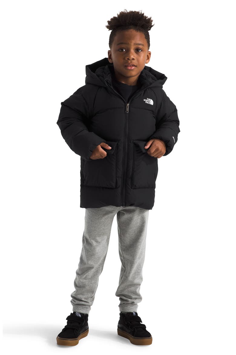 Kids' North Down Fleece Lined Parka, Alternate, color, TNF BLACK