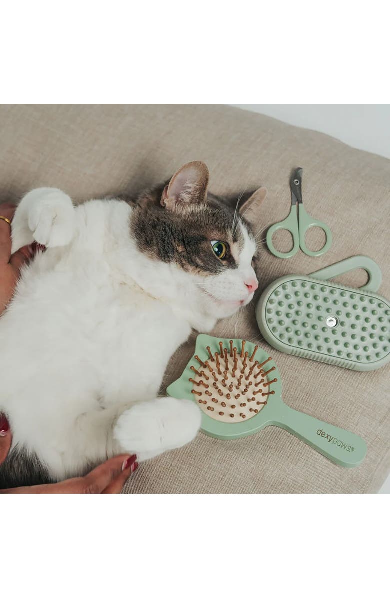 Dexypaws Nail Clipper for Cats & Small Pets, Sage Green, Pet Grooming Tool, Alternate, color, Green