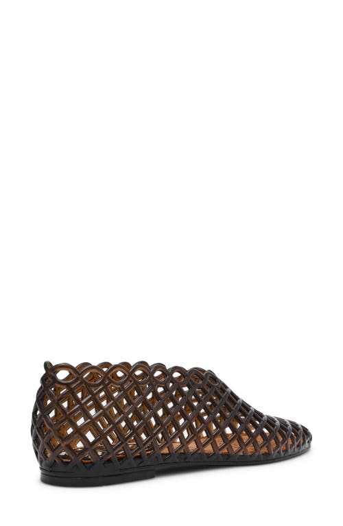 Steve Madden Grove Jelly Flat In Black