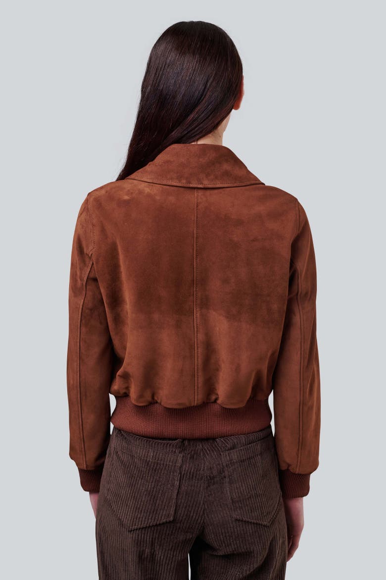 Evie Suede Jacket, Alternate, color, Chestnut