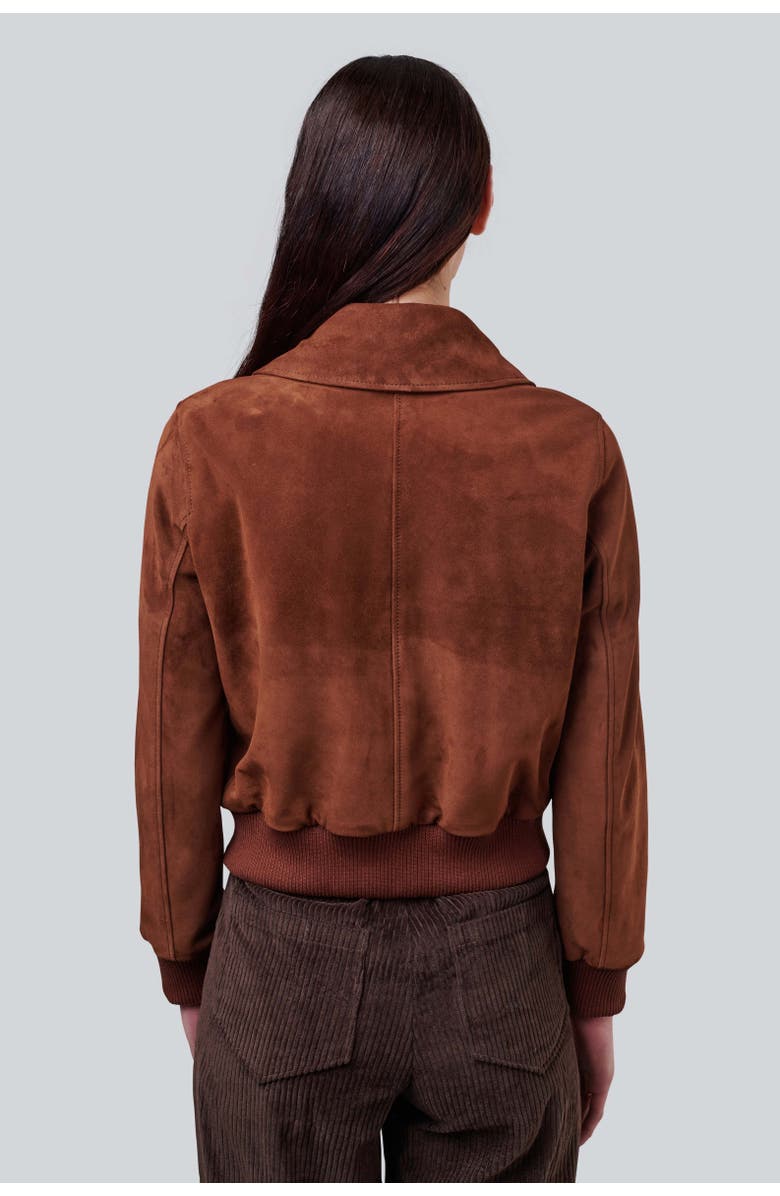 Furniq UK Evie Suede Jacket, Alternate, color, Chestnut