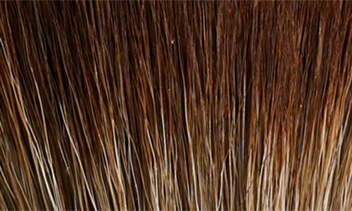 Victoria Beckham Sculpt & Blend Brush In No Color