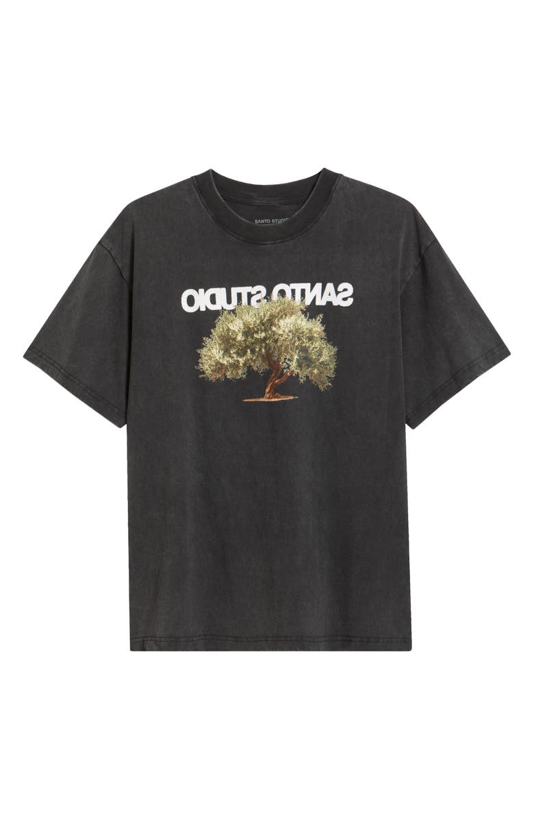 SANTO STUDIO Olive Tree Graphic T-Shirt, Alternate, color, Vintage Black