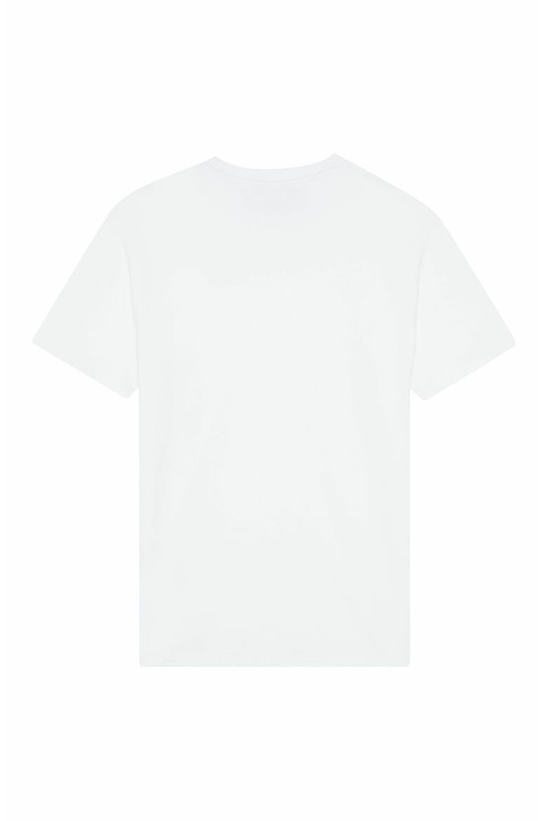 Men's Embroidered Turtle Cotton T-Shirt, Alternate, color, BLANC