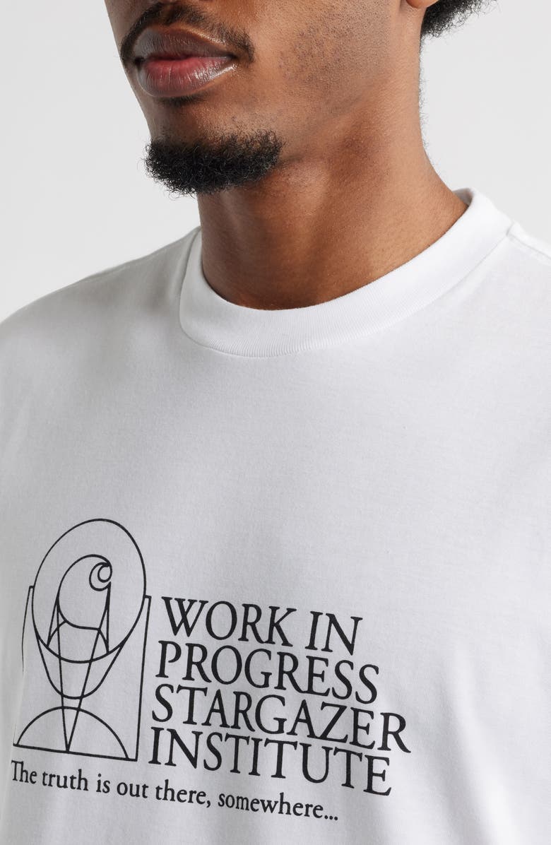 Carhartt Work In Progress Stargazer Organic Cotton Graphic T-Shirt, Alternate, color, 