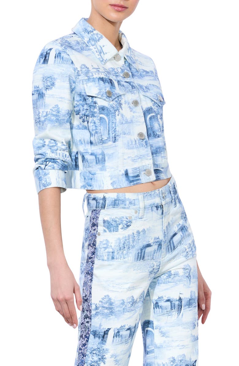 Alice + Olivia Chloe Boxy Crop Jacket, Alternate, color, 