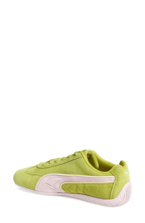 Puma Speedcat Piping Sneaker In Sea Kelp-rose Mauve