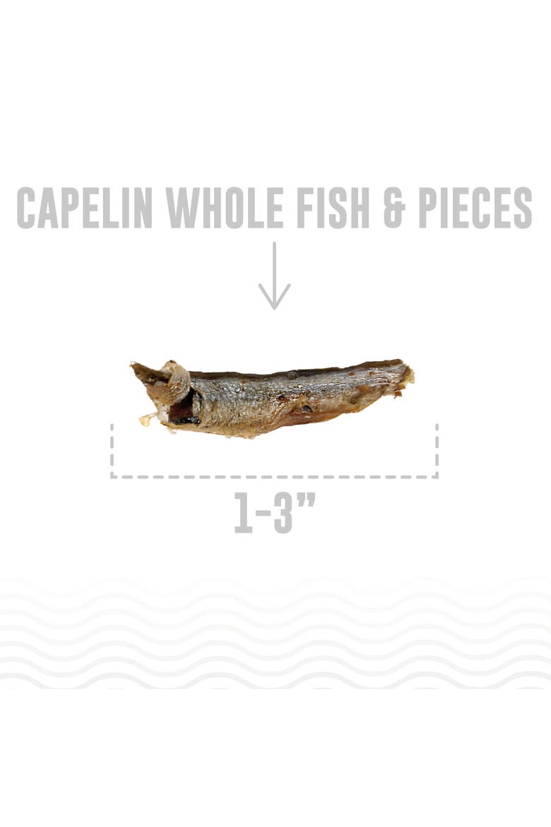 Capelin Whole Fish & Pieces Dog Treat 2.5oz Bag, Alternate, color, Multicolored