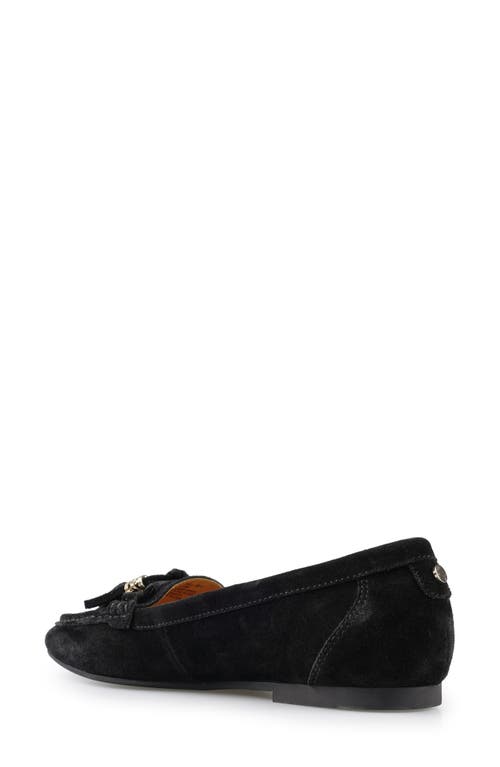 National Comfort Shell Suede Loafer In Black Suede