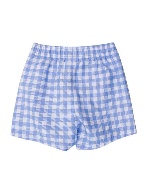 Ruggedbutts Baby/toddler Boys Upf50+ Gingham Swim Trunks In Blue