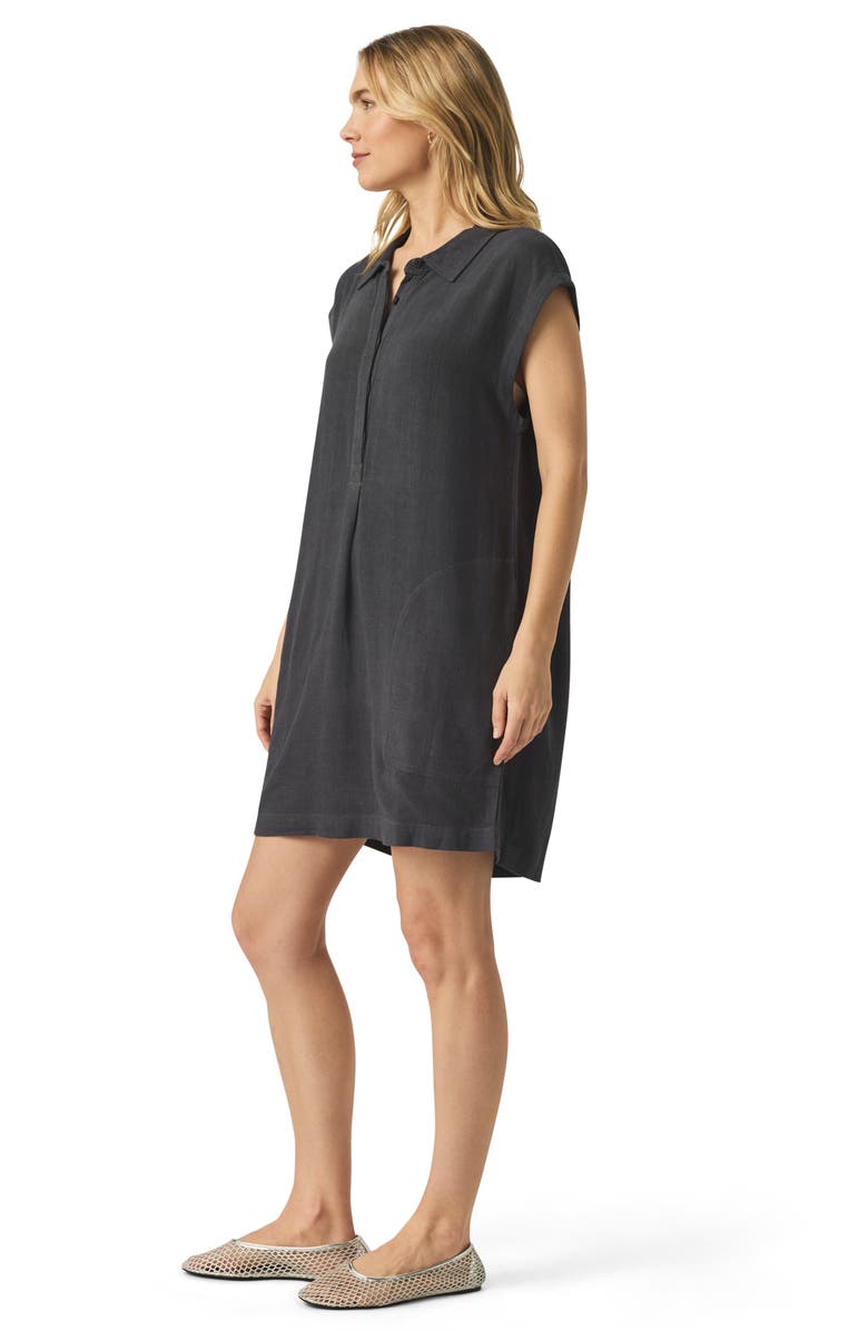 Splendid Wren Shift Minidress, Alternate, color, Lead