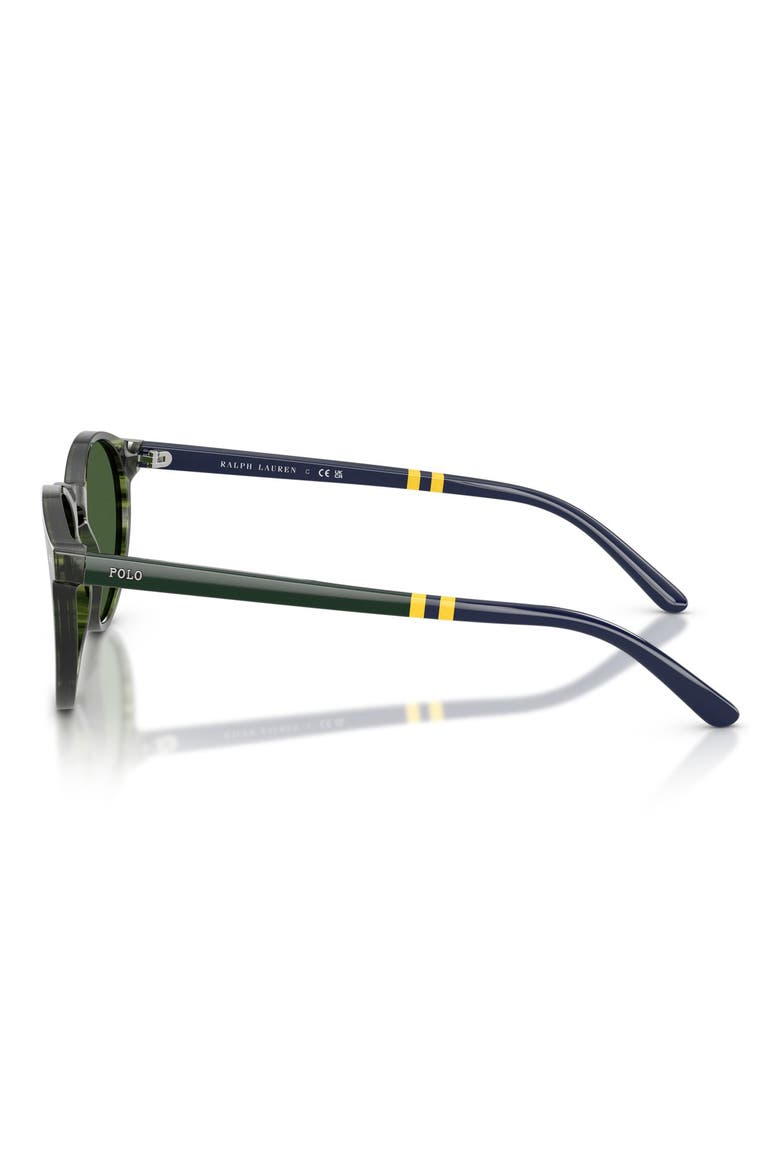 50mm Round Sunglasses, Alternate, color, SHINY STRIPED GREEN HAVANA