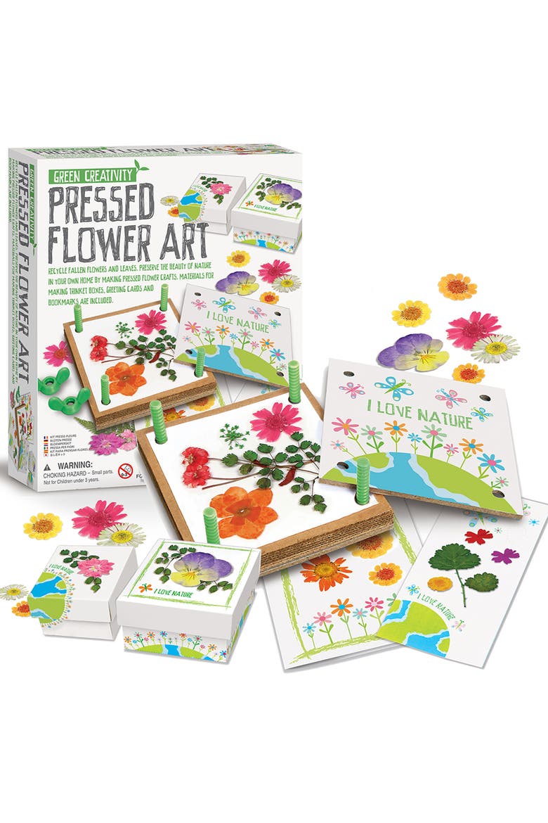 Green Creativity Pressed Flower Art Diy, Alternate, color, Multicolored