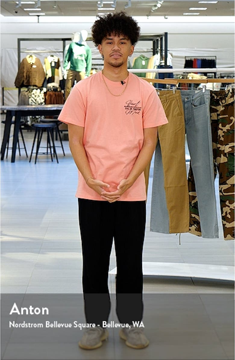 Parfum Graphic T-Shirt, sales video thumbnail