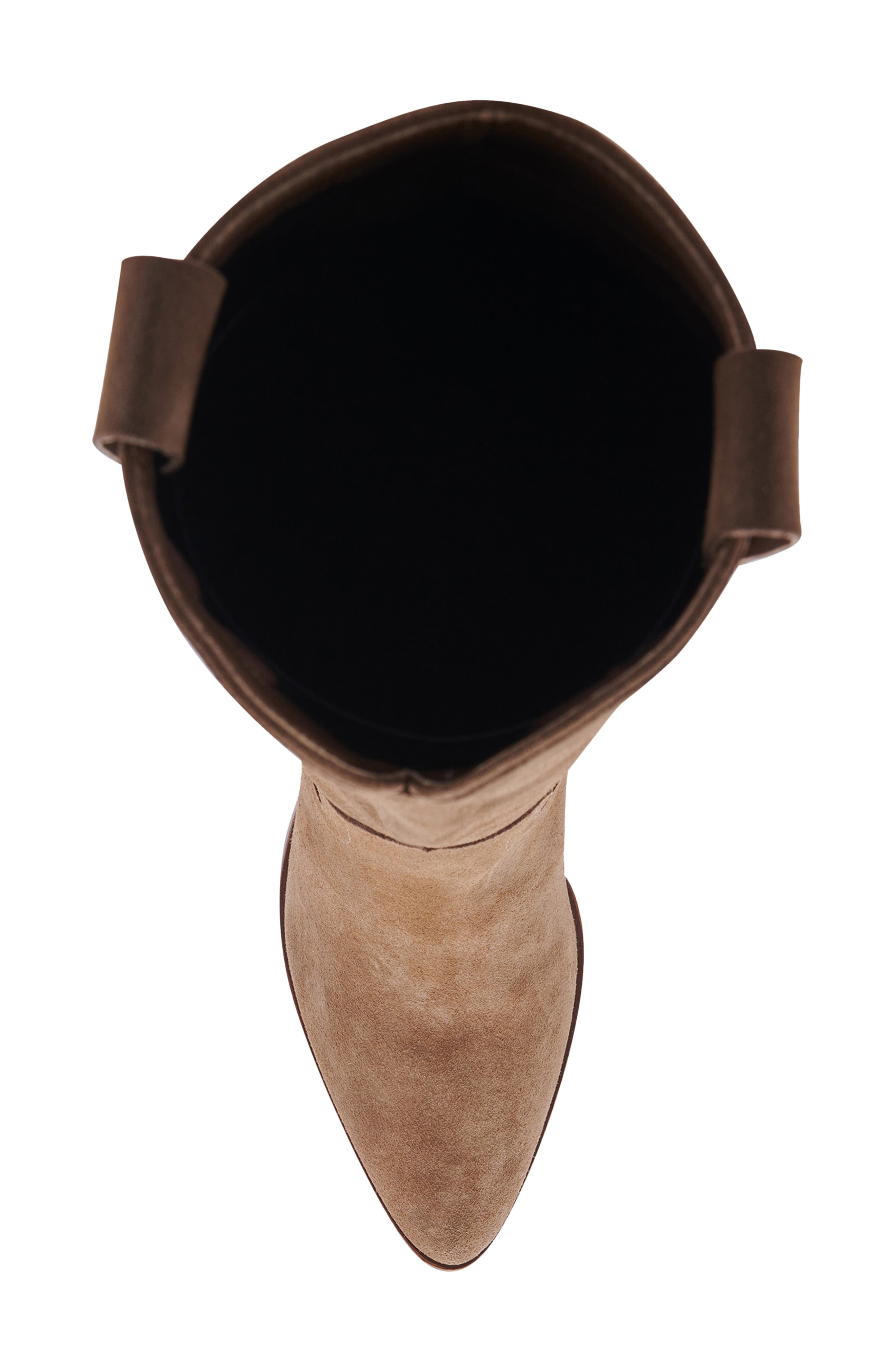 Wylde Waterproof Pointed Toe Boot, Alternate, color, TAUPE SUEDE