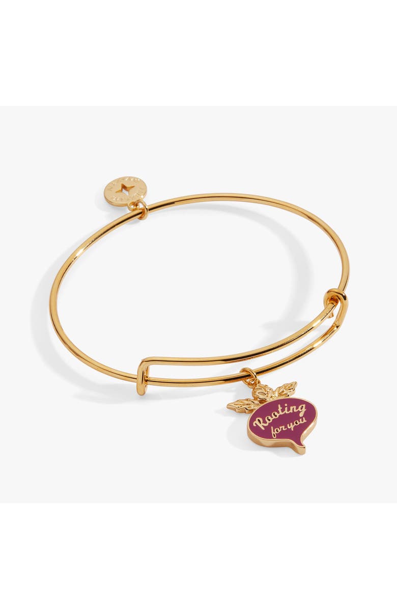 Alex and Ani Farmers' Market 'Rooting For You' Charm Bangle, Main, color, Gold