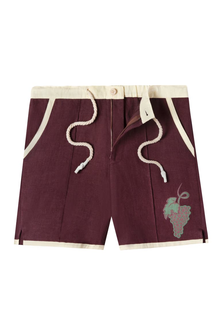 'Tombarolo' Cabana Shorts, Alternate, color, Pale White Wine
