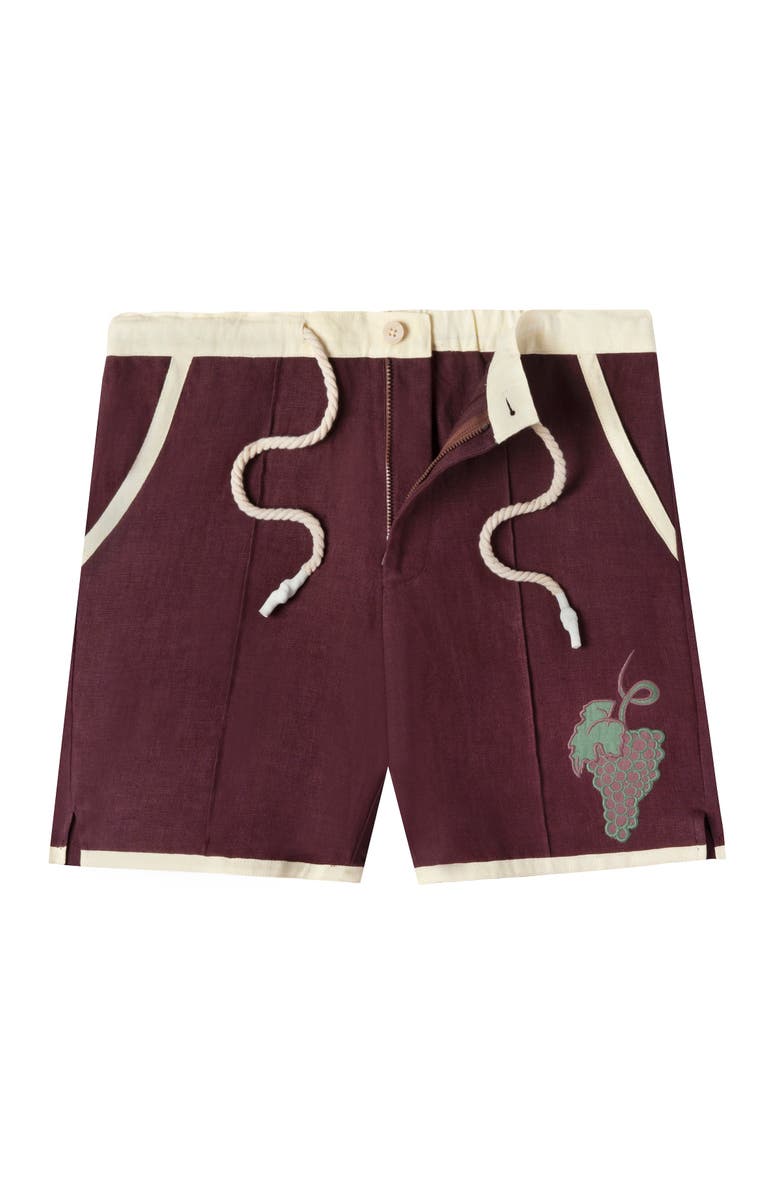 Tombolo 'Tombarolo' Cabana Shorts, Alternate, color, Pale White Wine