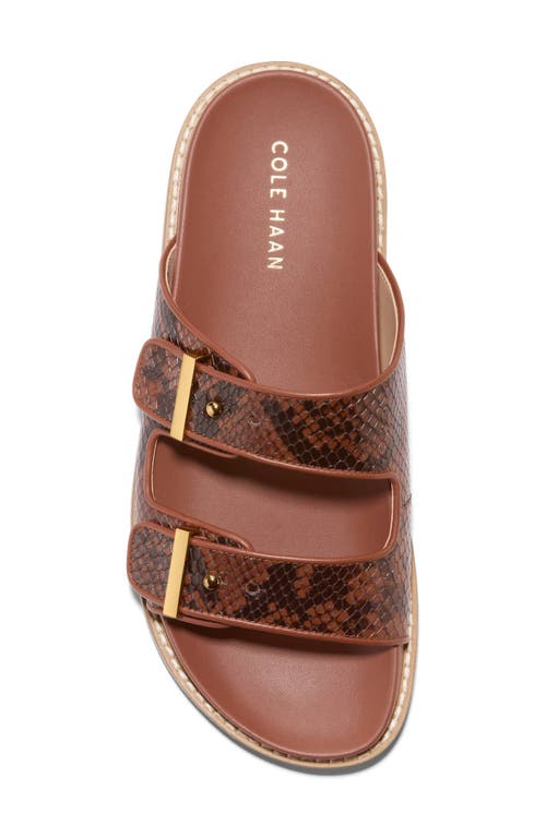 Cole Haan Marisol Sandal In Dark Cuoio Snake Print Leather