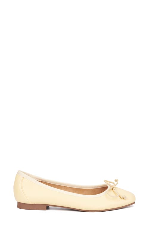 NEW YORK AND COMPANY NEW YORK AND COMPANY PAULINA BALLET FLAT