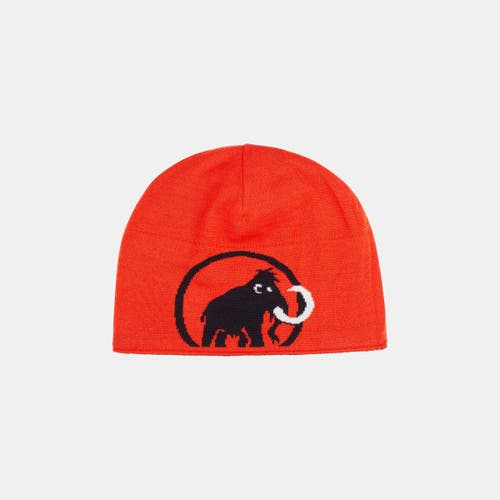 Mammut Logo Beanie In Black