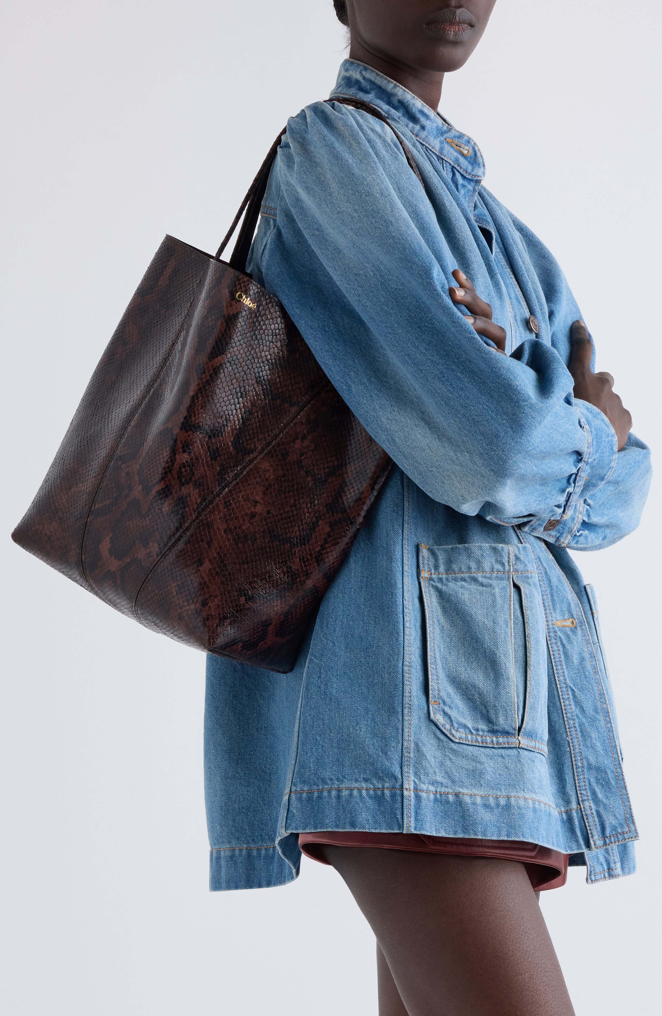 Chloé Large Spin Snakeskin Embossed Leather Tote, Alternate, color, Sooty Brown