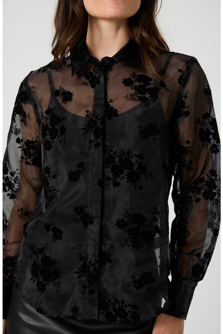 Velvet Burnout Organza Sheer Shirt, Alternate, color, BLACK