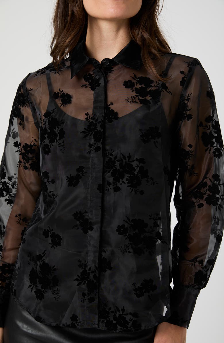 Velvet Burnout Organza Sheer Shirt