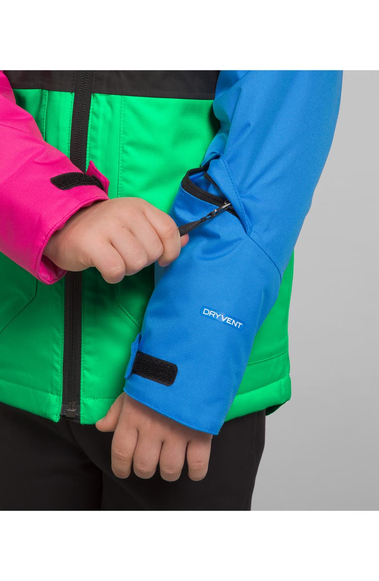 The North Face Kids' Freedom Insulated Waterproof Hooded Jacket, Alternate, color, 