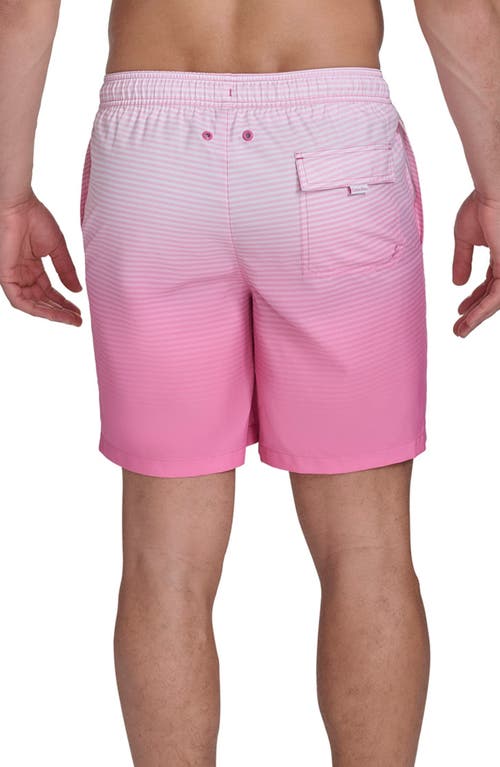 Calvin Klein Graphite Stripe Core Volley Swim Trunks In Hot Pink