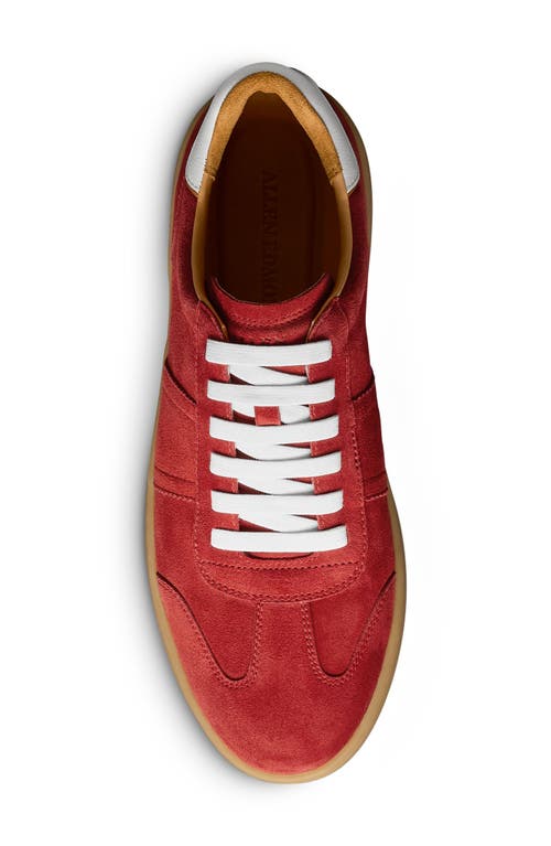 ALLEN EDMONDS ALLEN EDMONDS LUDLOW SLIP-ON SNEAKER 