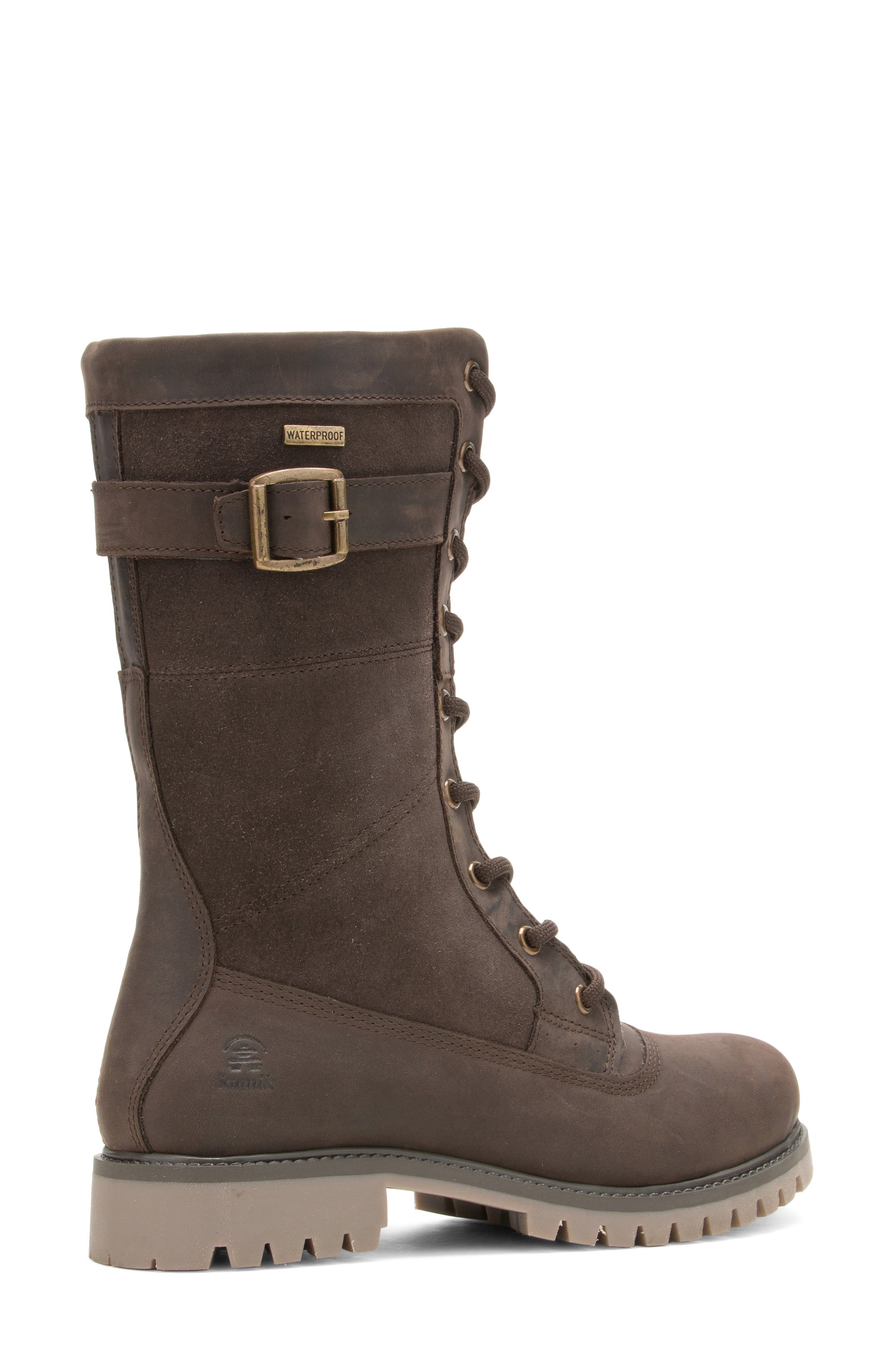 Rogue 10 Waterproof Faux Shearling Leather Boot, Alternate, color, DBR