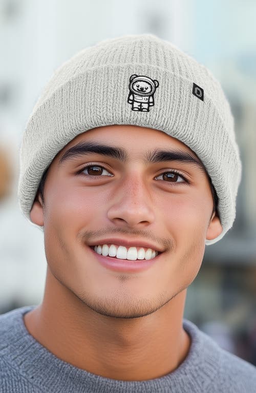 Dalix Ice Bear Beanie In Light Gray