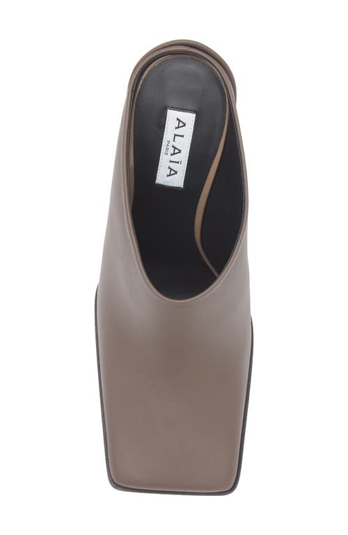 Alaïa Square Toe Mule In Animal Print