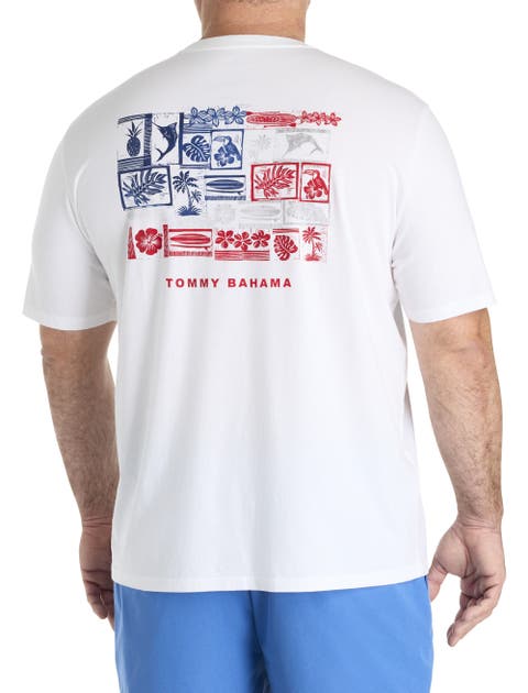 Big & Tall American Boardblock Graphic T-Shirt