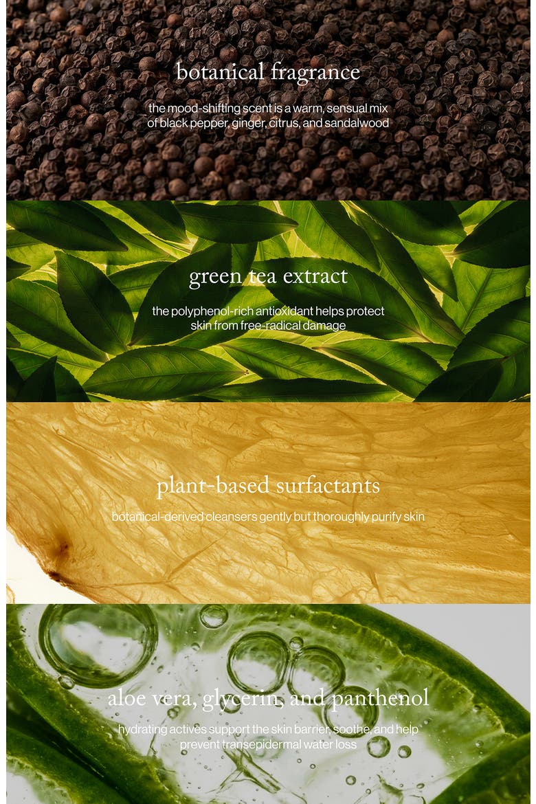 Black Pepper + Ginger Grounding Body Wash, Alternate, color, NO COLOR
