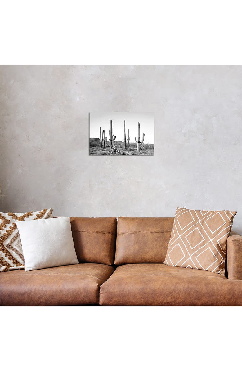 iCanvas 'Gray Cactus Land' by Sisi & Seb Canvas Artwork, Alternate, color, 