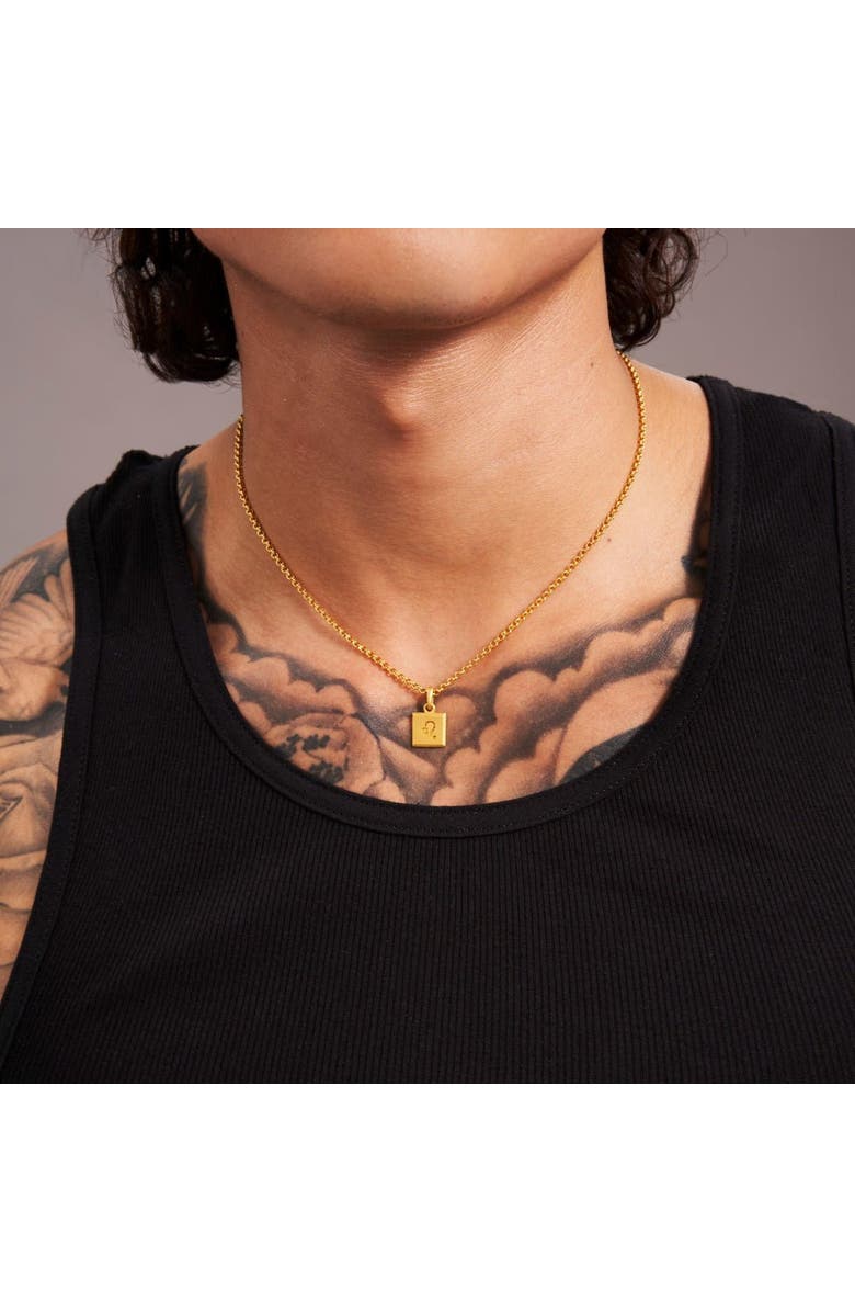 7879 Rolo Chain Necklace, Alternate, color, Gold 24K