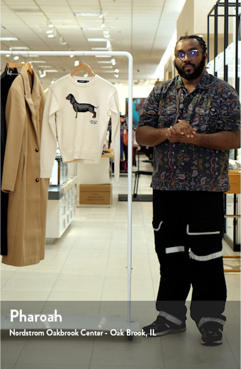 Intarsia Dachshund Cotton Sweater, sales video thumbnail