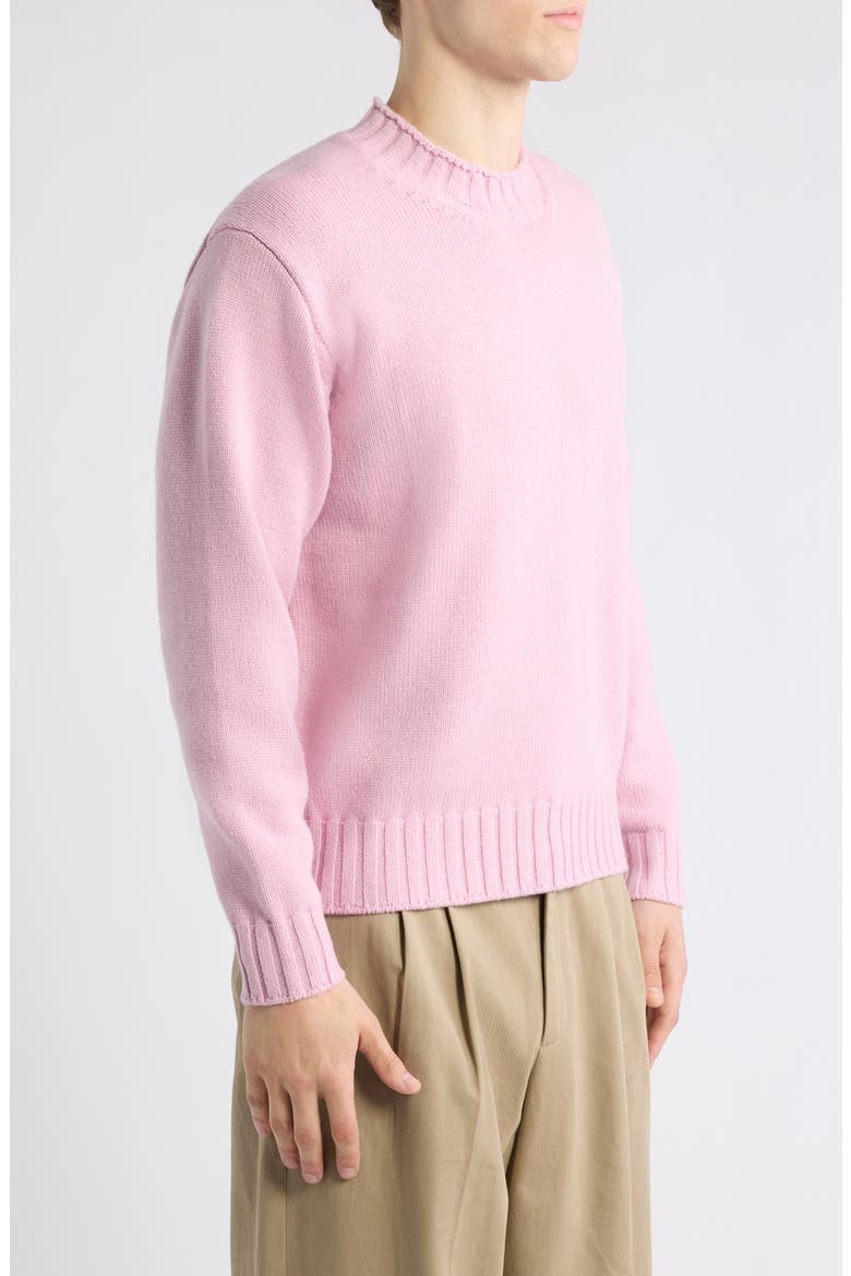 Gender Inclusive Chunky Roll Neck Sweater, Alternate, color, PALE PINK