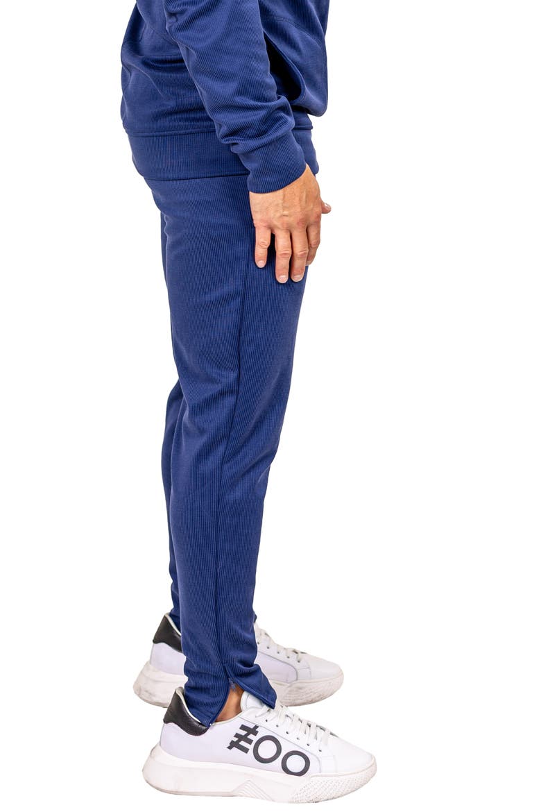 Marthyr Ribbed Performance Joggers, Alternate, color, BLUE