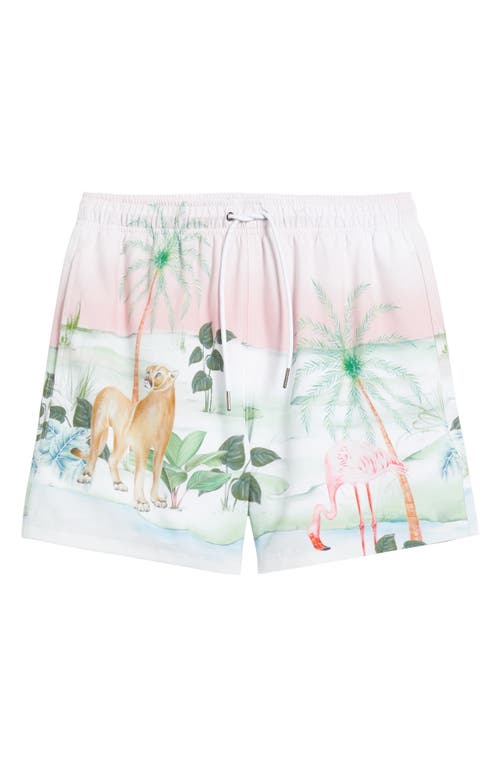 Mavrans Palm Beach Swim Shorts In Multi